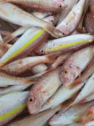 Soultan Ramli original